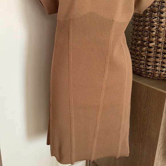 NWT Anthropologie Mock Neck Tan Mini Dress XL - Picture 6 of 16